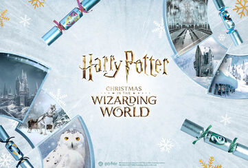 Christmas in the Wizarding World / Upptäck mer!