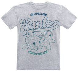 Barn - Greetings From Kanto, Pokémon, T-shirt