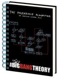 Friendship Algorithm, The Big Bang Theory, Anteckningsbok