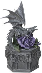 Dragon Beauty Box, Anne Stokes, Staty