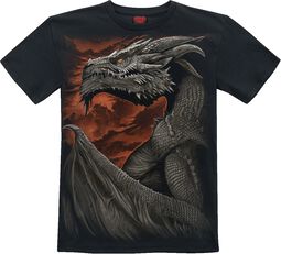 Barn - Majestic Draco, Spiral, T-shirt