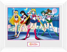 Group, Sailor Moon, Inramad bild