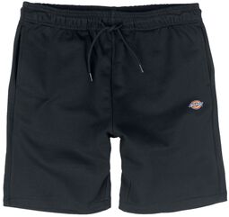 Mapleton - shorts, Dickies, Shorts