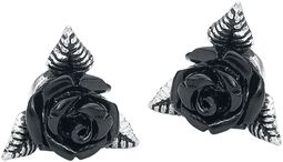 Black Rose Ear Studs, Alchemy Gothic, Örhängesset