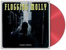 Drunken lullabies, Flogging Molly, LP
