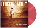 Within a mile of home, Flogging Molly, LP
