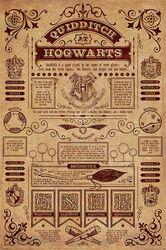 Quidditch at Hogwarts, Harry Potter, Poster