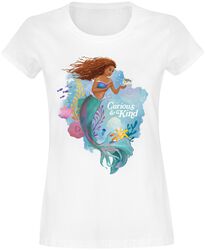 Curious and Kind, Den lilla sjöjungfrun, T-shirt