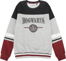 Barn - Hogwarts - England Made, Harry Potter, Sweatshirt