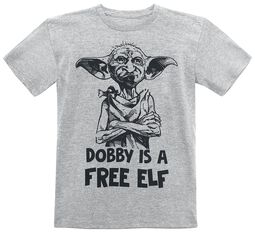 Barn - Dobby Is A Free Elf
