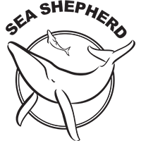 Certifikat för hållbarhet